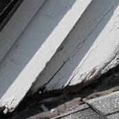 #16 Fascia will become damaged if proper flashings are not installed to divert water. It is not advisable to have carpentry terminate onto a roof because it will more likely than not wick water and lead to rot.